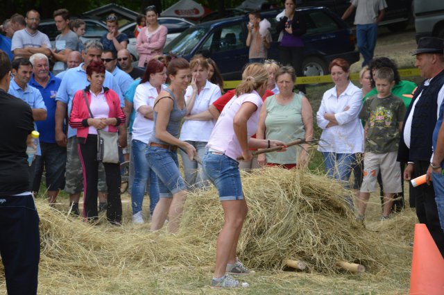 Ügyességi erőbajnokság